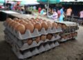 Denuncian que contrabando de huevos desde Colombia representa el 50% del mercado en Táchira