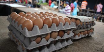 Denuncian que contrabando de huevos desde Colombia representa el 50% del mercado en Táchira
