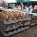 Denuncian que contrabando de huevos desde Colombia representa el 50% del mercado en Táchira