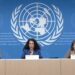 ONU insta a respetar DDHH en el marco de la toma de posesión presidencial
