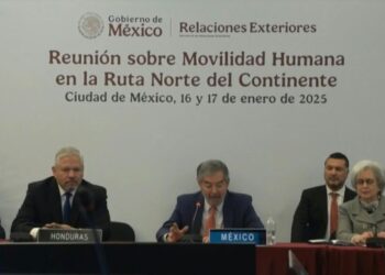 Gobiernos de diez países de América expresan su «grave preocupación» por la deportación masiva de migrantes