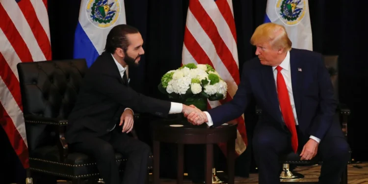 Trump y Bukele conversaron sobre la migración ilegal y trabajar juntos contra el Tren de Aragua