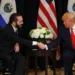 Trump y Bukele conversaron sobre la migración ilegal y trabajar juntos contra el Tren de Aragua
