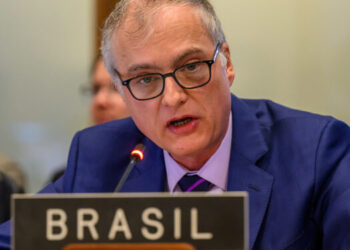 Brasil expresó en la OEA preocupación por las detenciones y violaciones de DDHH en Venezuela