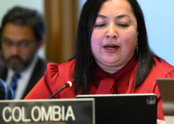 Colombia denuncia ante la OEA la detención arbitraria de 14 colombianos en Venezuela