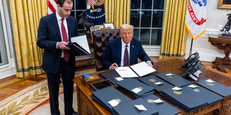 Juez federal bloquea la orden de Trump de acabar con la ciudadanía por nacimiento