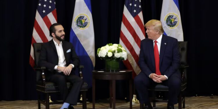 Bukele prevé que el 2025 será un año «importante» para el bitcoin con el Gobierno de Trump