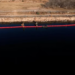 Así son las barreras que instala Texas en el río Grande para bloquear los cruces ilegales desde México