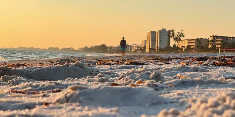 Florida enfrentará su fin de semana más frío del año