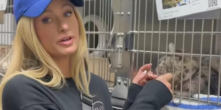 Paris Hilton se ofreció como voluntaria en un refugio de animales afectados por incendios en Los Ángeles