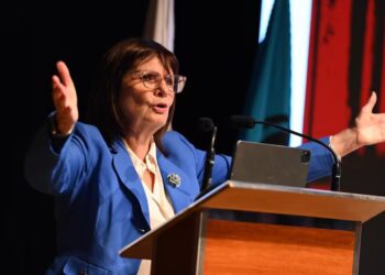 Patricia Bullrich tras imágenes del gendarme argentino: «lo único que aceptamos es que sea enviado en un avión a su país»