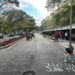 En el marco del Día de la Juventud, estudiantes de la UCV honran a los jóvenes caídos en protestas contra la dictadura (Fotos)