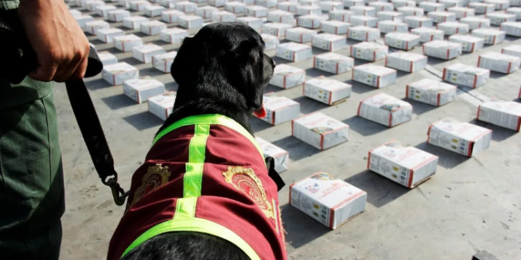 Más del 80 % de incautaciones de droga en 2024 fueron en frontera Colombo-Venezolana
