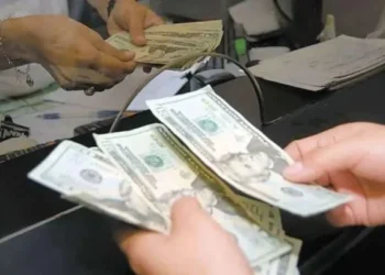 Dólar paralelo aumentó a 80 bolívares y superó en casi 29% al oficial