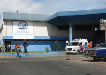 Enjambre de avispas causó la muerte de un anciano en Ciudad Guayana