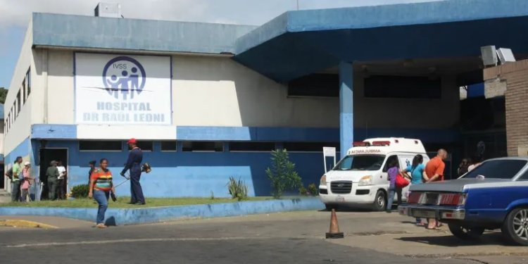 Enjambre de avispas causó la muerte de un anciano en Ciudad Guayana