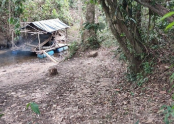 Funcionarios de la FANB detuvieron a seis hombres por minería ilegal en Amazonas