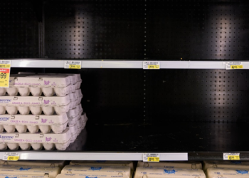 La escasez de huevos en EE.UU. no se debe a las medidas de Trump, sino a la gripe aviar