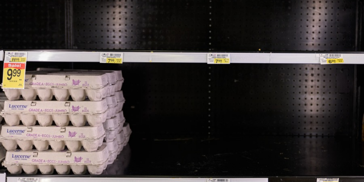 La escasez de huevos en EE.UU. no se debe a las medidas de Trump, sino a la gripe aviar