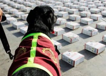 Venezuela reporta la captura de más de 170 «capos» en 2024