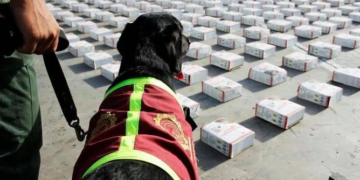 Venezuela reporta la captura de más de 170 «capos» en 2024