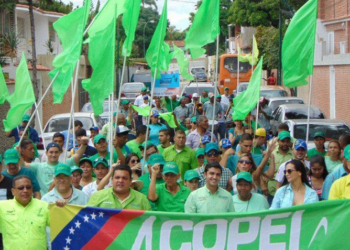 Copei en resistencia anuncia que no participará en las elecciones del 25M
