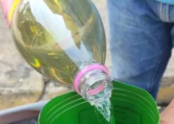 Por descuido de sus padres, niña fallece por ingerir gasolina en Anzoátegui