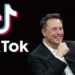 Elon Musk dice no estar interesado en presentar una oferta para comprar TikTok en EEUU