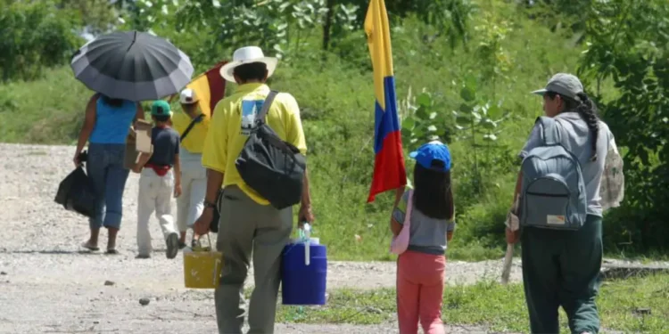 Al menos 58.052 desplazados y 86 homicidios por conflicto armado en el Catatumbo