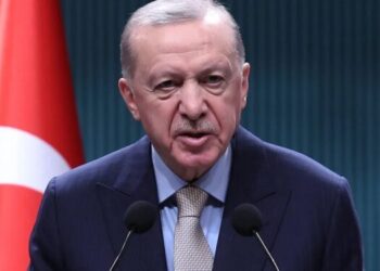 Erdogan califica a los manifestantes opositores de Turquía de «terroristas»