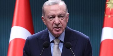 Erdogan califica a los manifestantes opositores de Turquía de «terroristas»