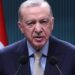 Erdogan califica a los manifestantes opositores de Turquía de «terroristas»