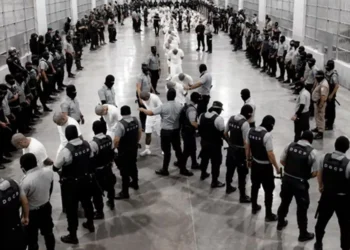 EEUU envía a otros presuntos miembros del Tren de Aragua a El Salvador