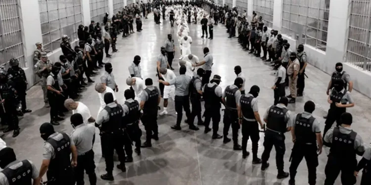 EEUU envía a otros presuntos miembros del Tren de Aragua a El Salvador