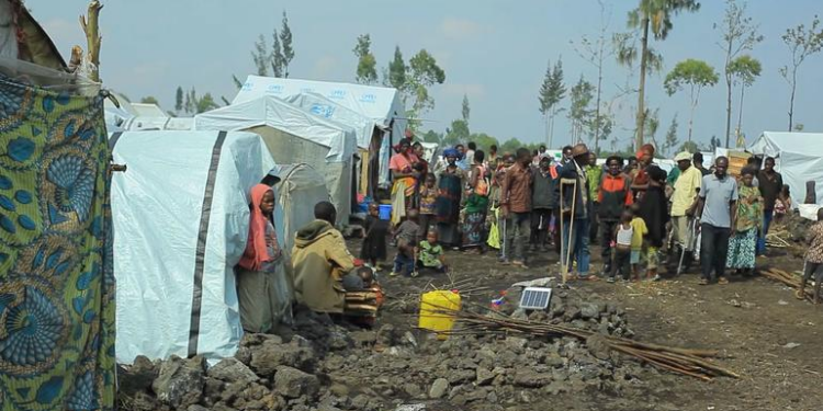 Expertos de la ONU advierten sobre violencia en Catatumbo y piden protección de civiles