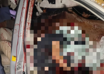 Un fallecido y dos heridos deja choque de una camioneta contra un caballo en la autopista Valencia-Tocuyito