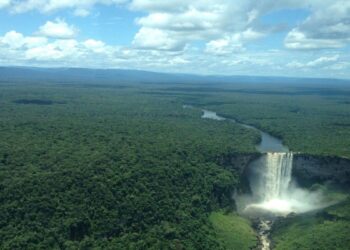 La Fuerza Armada afirma que se mantiene «alerta» ante una operación de «falsa bandera» en el Esequibo