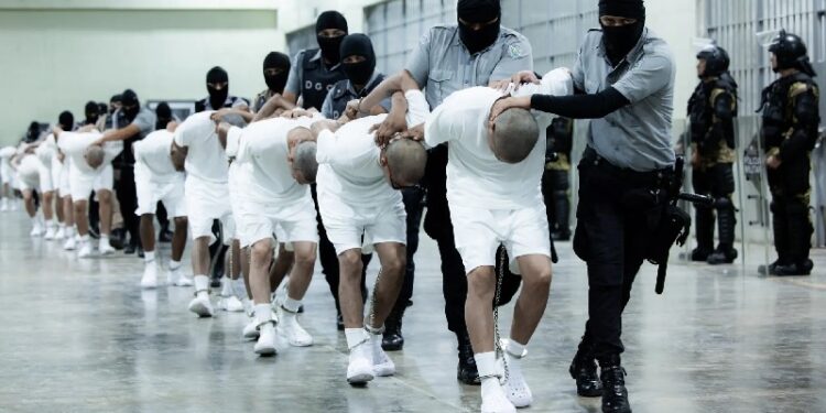 Bloomberg: 90% de los migrantes deportados a El Salvador no tenían antecedentes penales