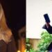 Surgen rumores de supuesto “romance secreto” de reconocida animadora y Tarek William Saab