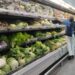 OGP de Cedice Libertad: inflación de marzo escaló 28,2% en Bs y 3,66% en US$