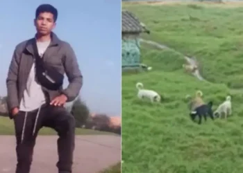 Venezolano pierde sus brazos tras ser atacado por una manada de perros en Colombia