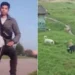Venezolano pierde sus brazos tras ser atacado por una manada de perros en Colombia