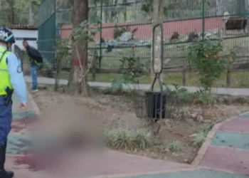 Tras 65 días de agonía, murió vigilante que intentó acariciar a un león en estado de ebriedad