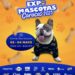Expo Mascotas 2025: Un encuentro imperdiblepara disfrutar de actividades interactivas y aprender sobre el cuidado de nuestras mascotas
