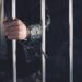 Desmantelan célula del Tren de Aragua en Argentina: 12 detenidos en operativo