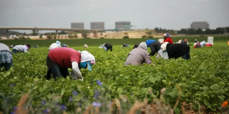 Trump plantea «pase temporal» para inmigrantes que trabajan en granjas y hoteles