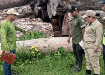 Autoridades de Venezuela incautan 9,7 kilos de sustancias peligrosas para el ambiente