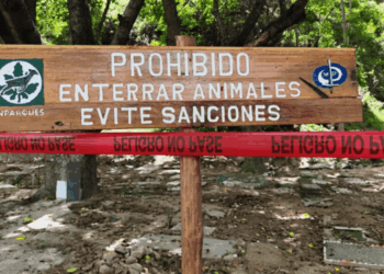 El cementerio ilegal de mascotas en la Cota Mil genera riesgos ambientales