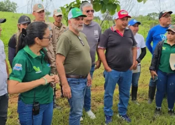 Autoridades anuncian “plan de reforestación” en Portuguesa tras fuertes lluvias