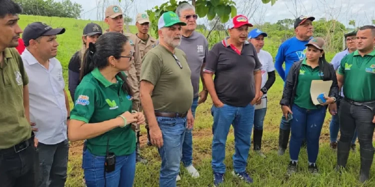 Autoridades anuncian “plan de reforestación” en Portuguesa tras fuertes lluvias